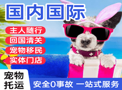 文山砚山空运公司国际宠物托运 【国